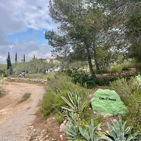Paraiso Bell Tent Tortosa Zewnętrze zdjęcie