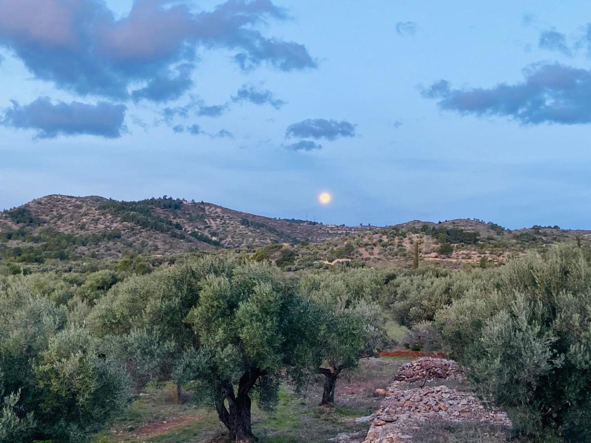 Paraiso Bell Tent Tortosa Zewnętrze zdjęcie