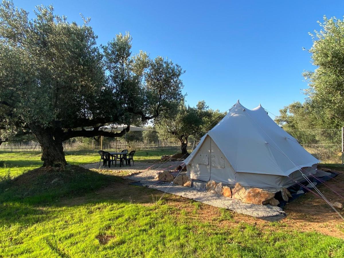 Paraiso Bell Tent Tortosa Zewnętrze zdjęcie