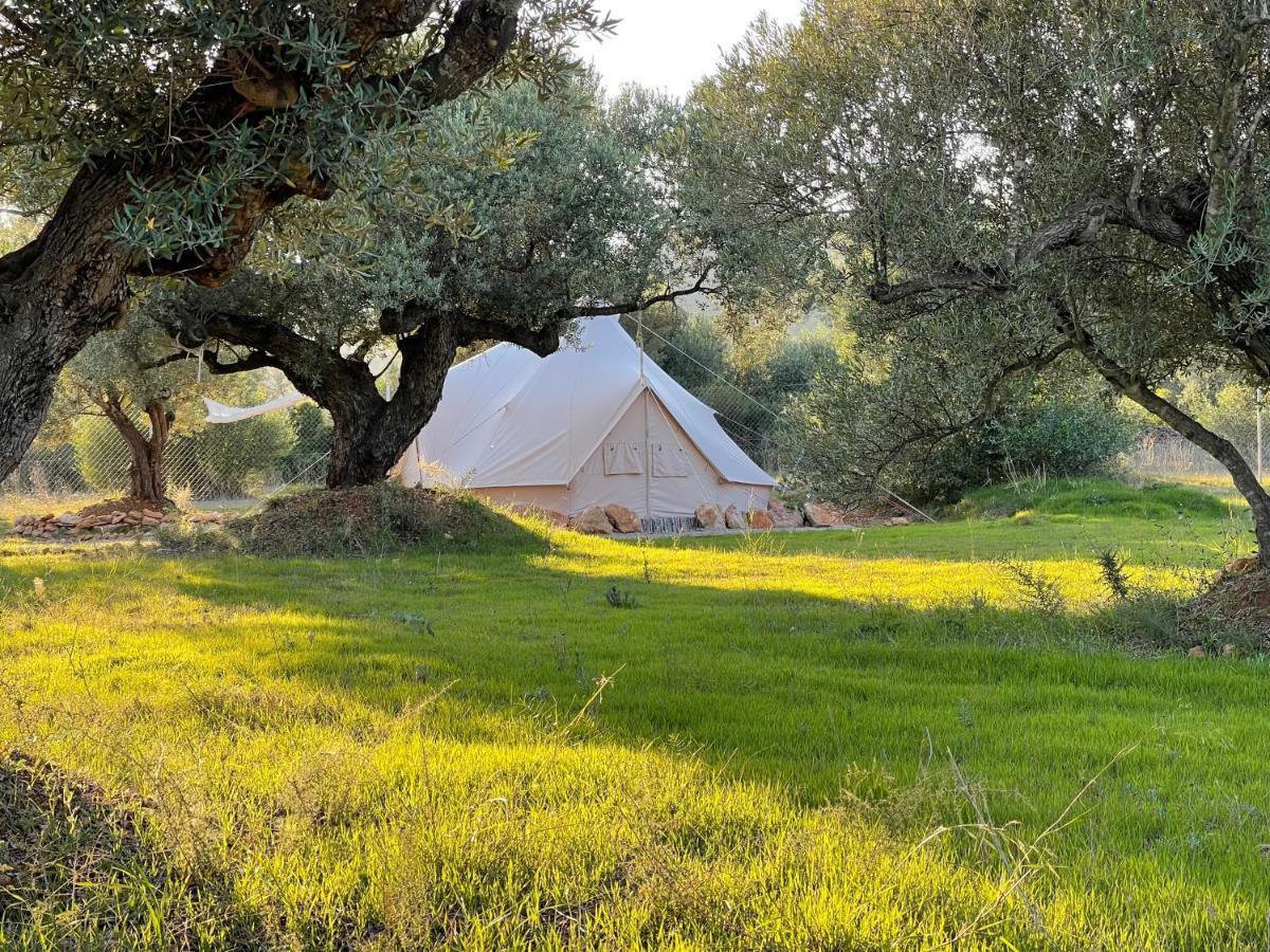 Paraiso Bell Tent Tortosa Zewnętrze zdjęcie