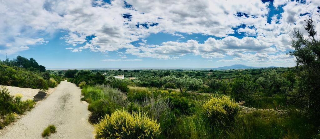 Paraiso Bell Tent Tortosa Zewnętrze zdjęcie