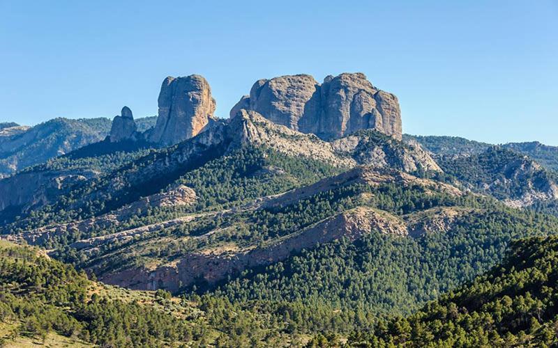 Paraiso Bell Tent Tortosa Zewnętrze zdjęcie