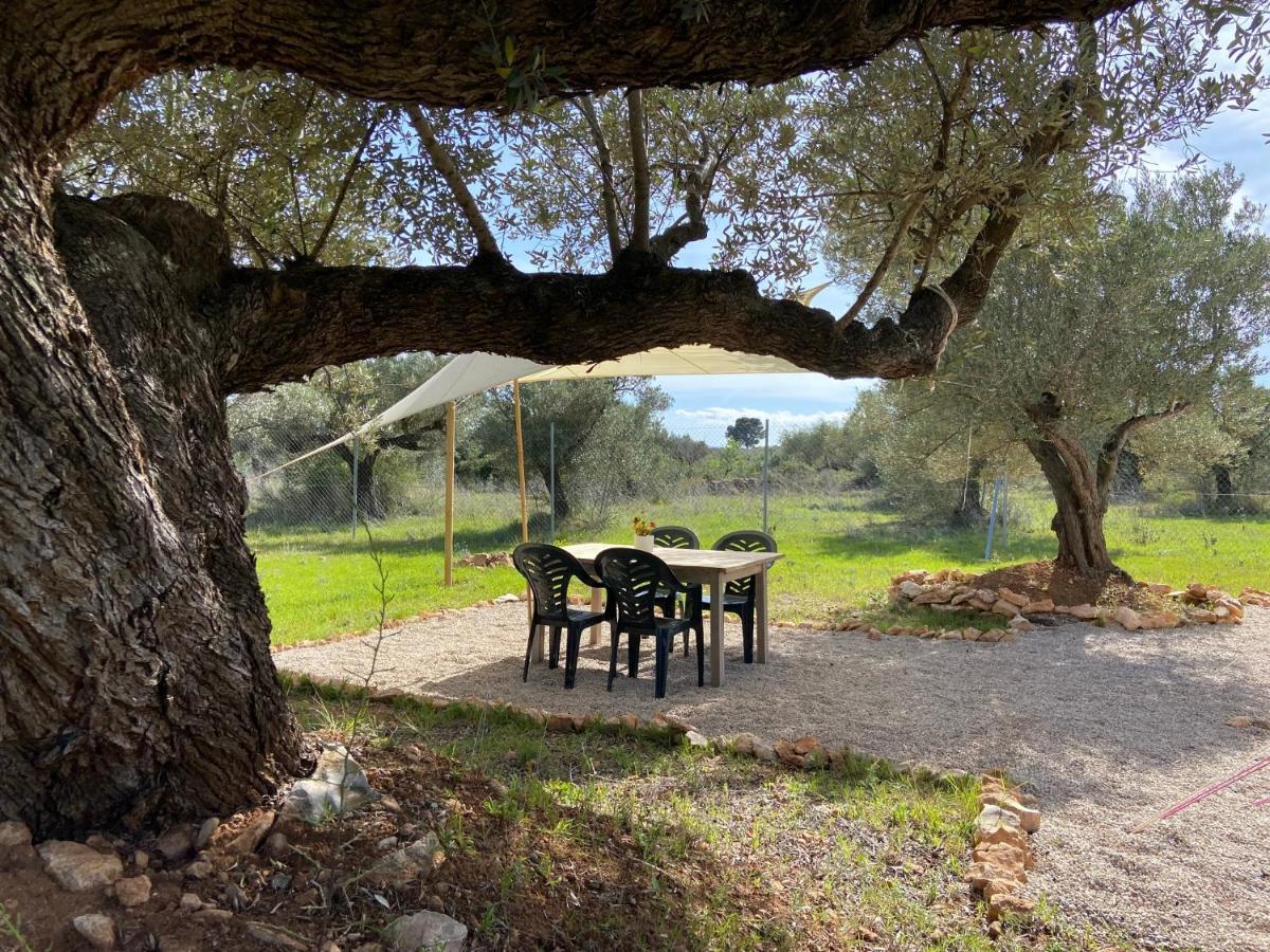 Paraiso Bell Tent Tortosa Zewnętrze zdjęcie