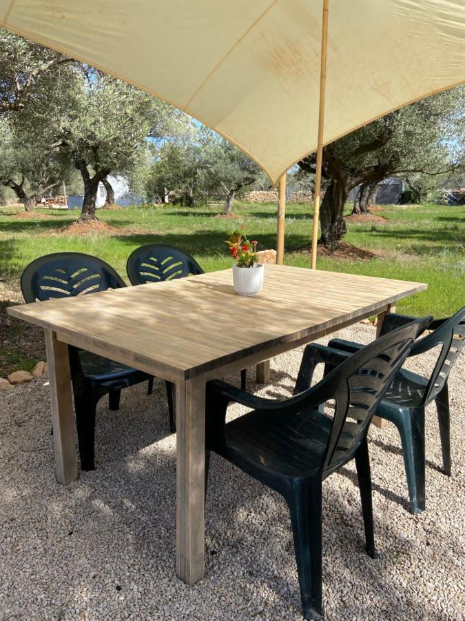 Paraiso Bell Tent Tortosa Zewnętrze zdjęcie