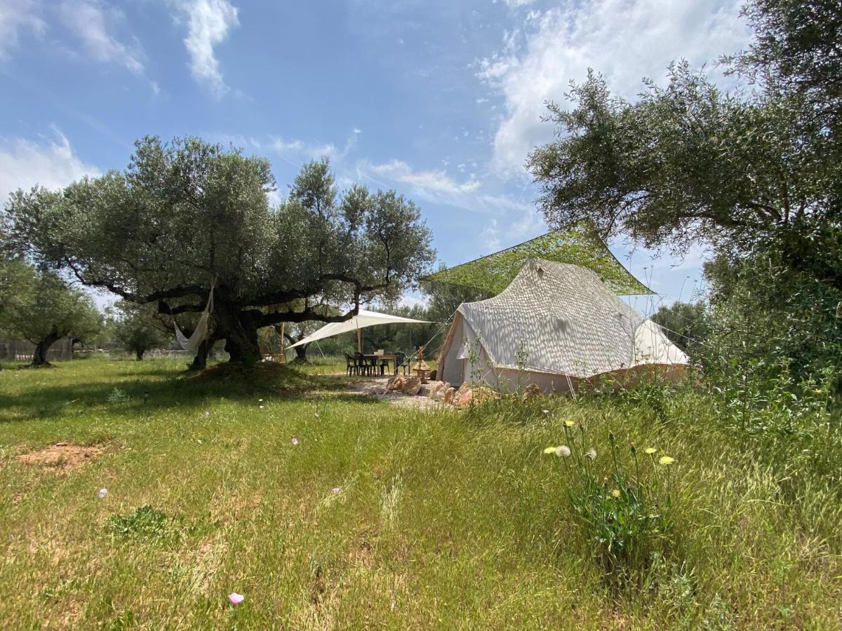 Paraiso Bell Tent Tortosa Zewnętrze zdjęcie