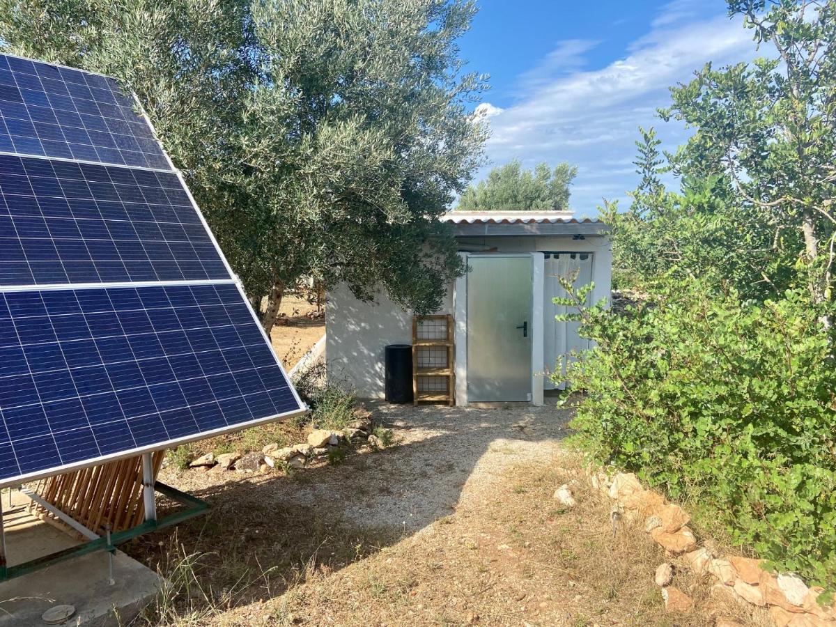 Paraiso Bell Tent Tortosa Zewnętrze zdjęcie