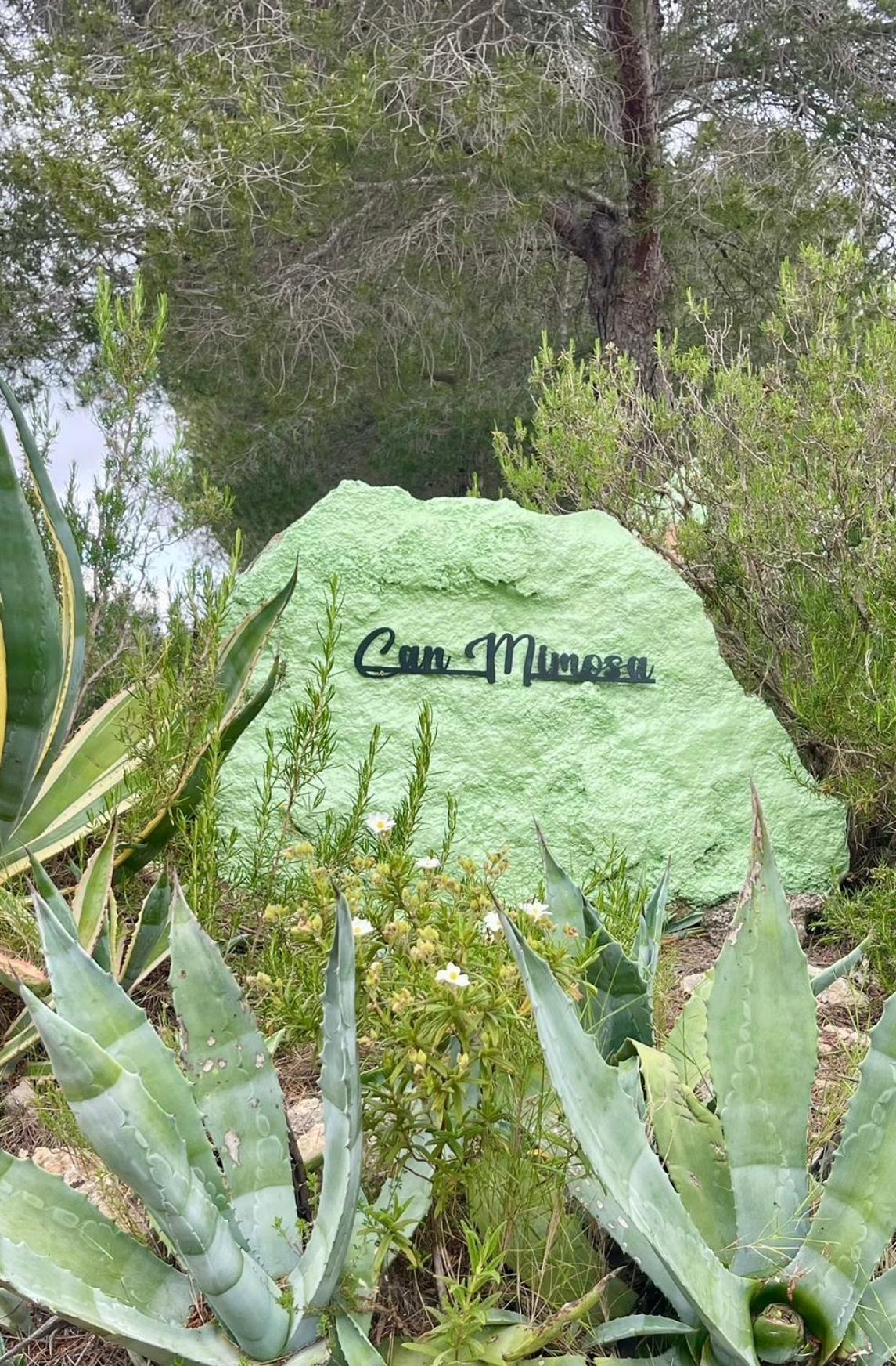 Paraiso Bell Tent Tortosa Zewnętrze zdjęcie